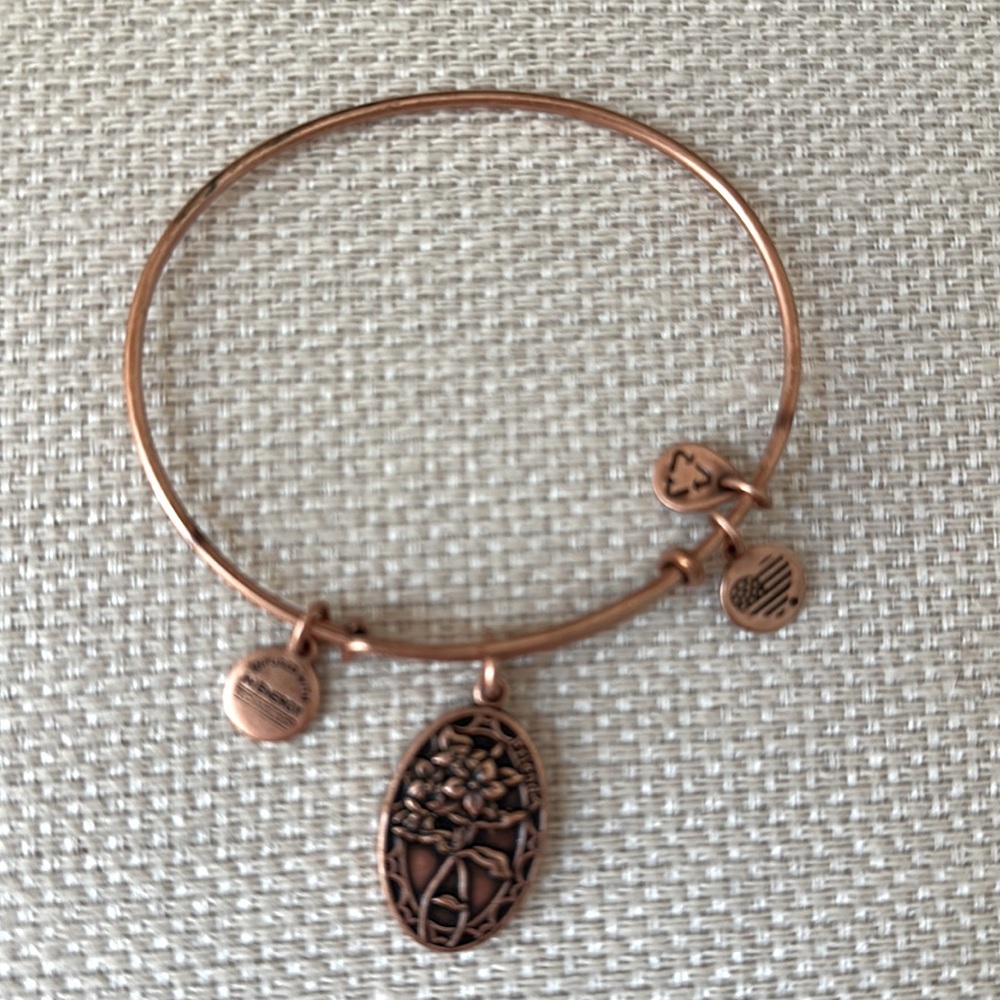 Alex & Ani “Friend” charm bangle